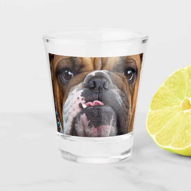 English Bulldog Throw Kissen Schnapsglas (Vorderseite)