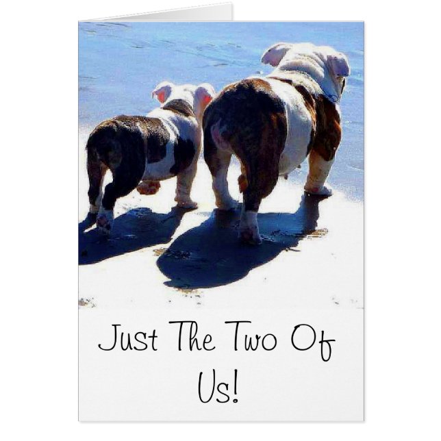 English Bulldog und Puppy (Vorne)