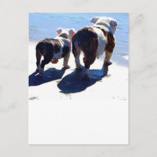 English Bulldog und Puppy Postkarte