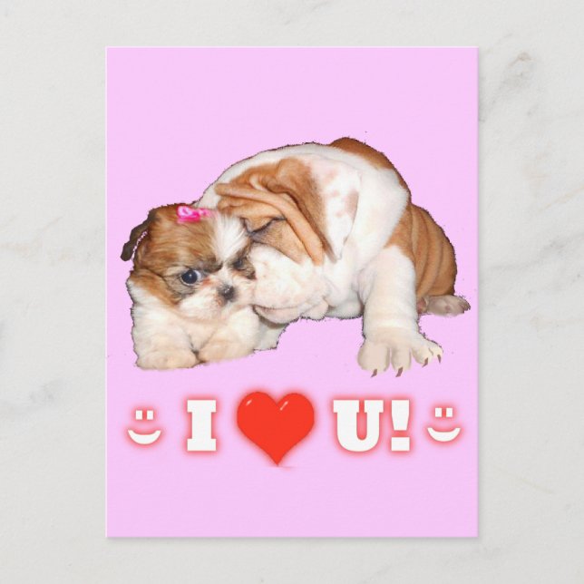English Bulldog und Shih Tzu I LIEBE YOU Cards Postkarte (Vorderseite)