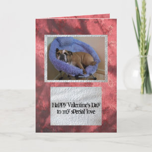 English bulldog Valentine's Day Card Feiertagskarte