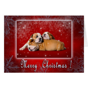 English Bulldog Weihnachtskarte