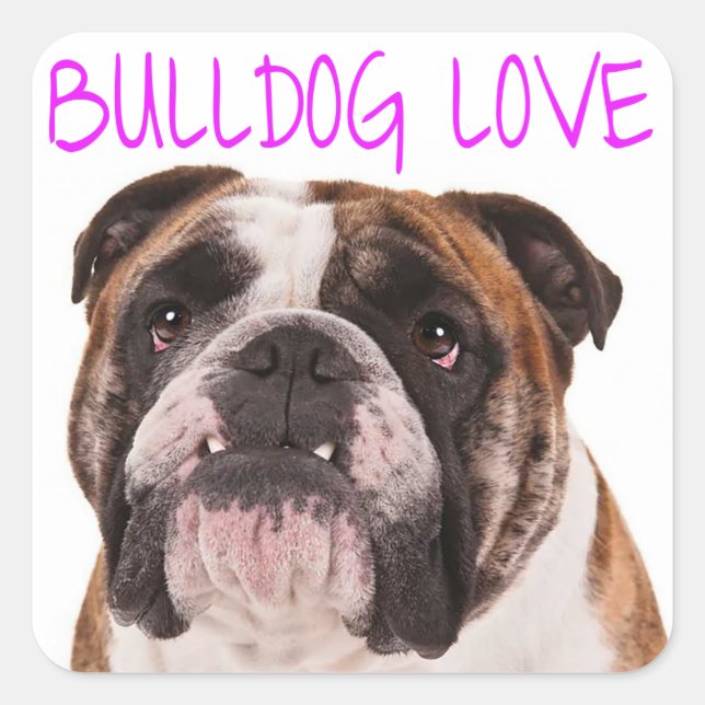 English Bulldog Welpe Hund Lila Liebe Quadratischer Aufkleber (Vorderseite)