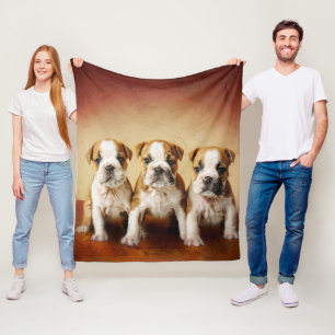 English Bulldog Welpen wirklich Niedlich Fleecedecke