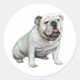 English Bulldog - White 1 Runder Aufkleber