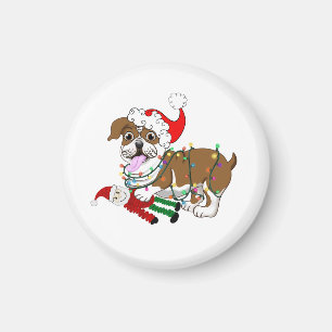 English Bulldog With Xmas Lights  Magnet