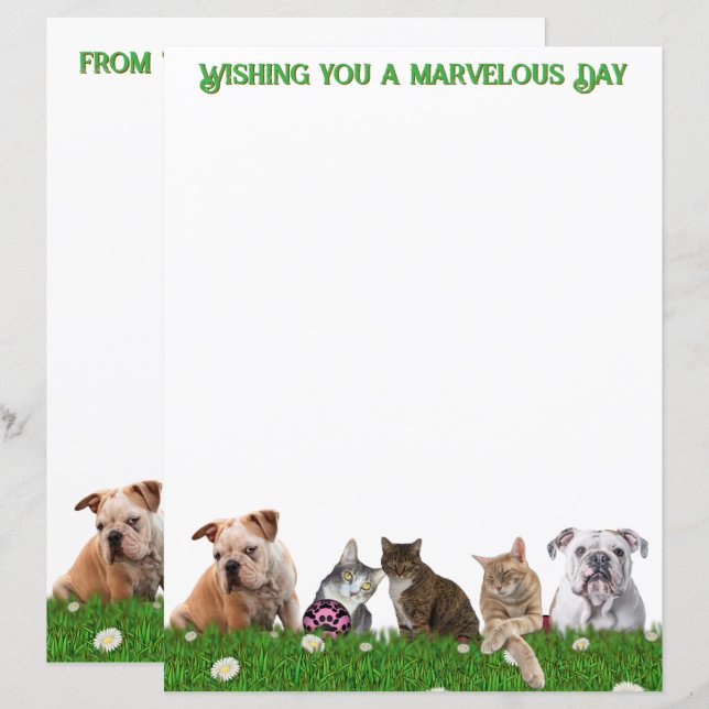 English Bulldogs and Cats Stationery (Vorne/Hinten)