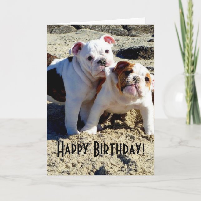 English Bulldogs Welppy Liebe Geburtstag Karte (Vorderseite)