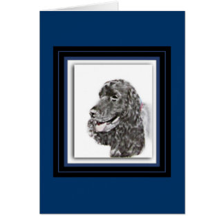 English Cocker Spanel