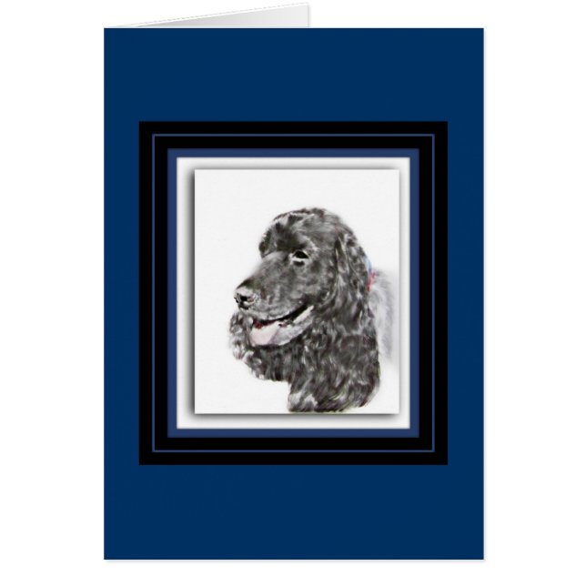 English Cocker Spanel (Vorne)