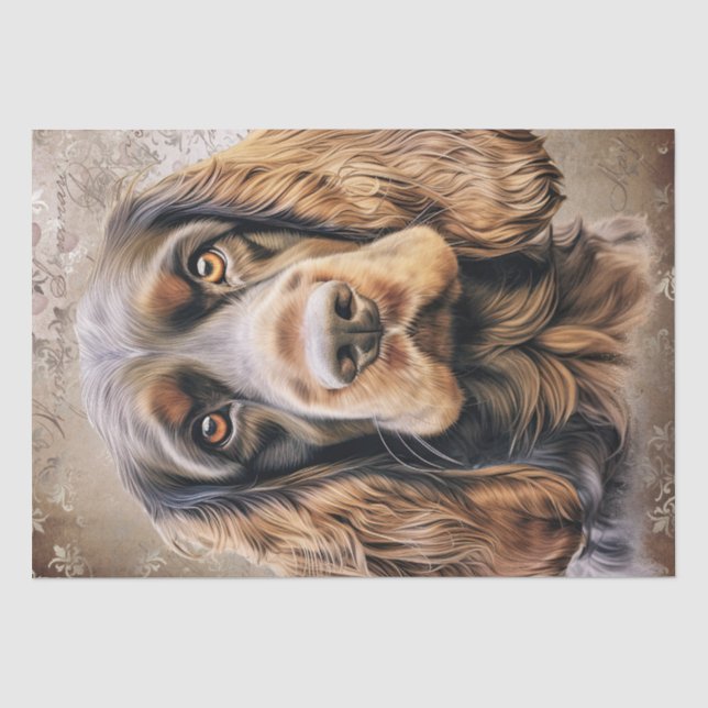 English Cocker Spanel Dog Seidenpapier (Vorderseite)