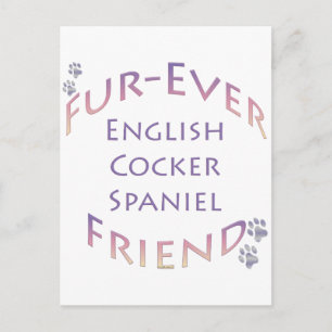 English Cocker Spanel Furever; Cocker Liebe Postkarte