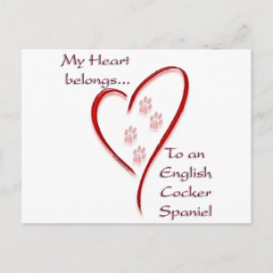 English Cocker Spanel Heart Belongs Postkarte