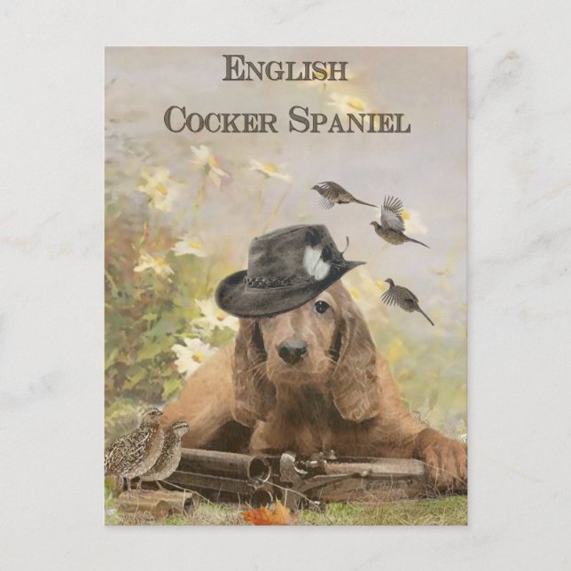 English Cocker Spanel Postkarte (Vorderseite)