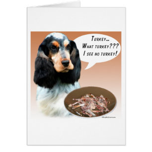 English Cocker Spanisch Türkei