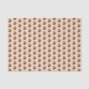 English Cocker Spanische Malerei - Original Hund A Seidenpapier