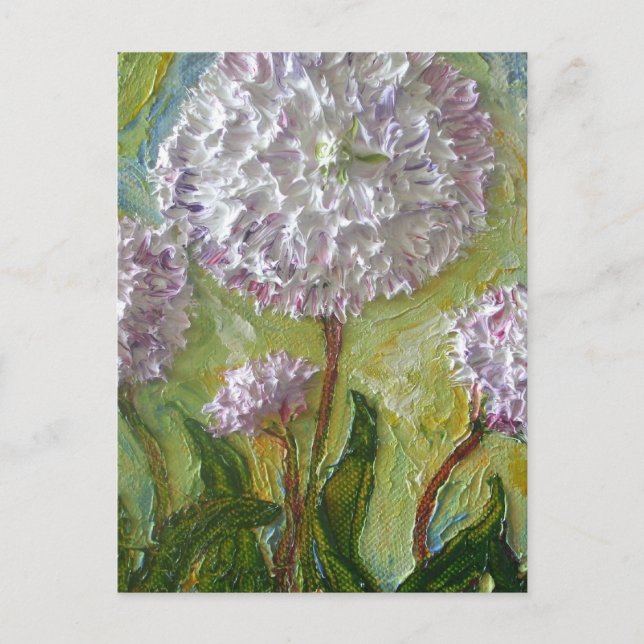 English Daisy Postkarte (Vorderseite)