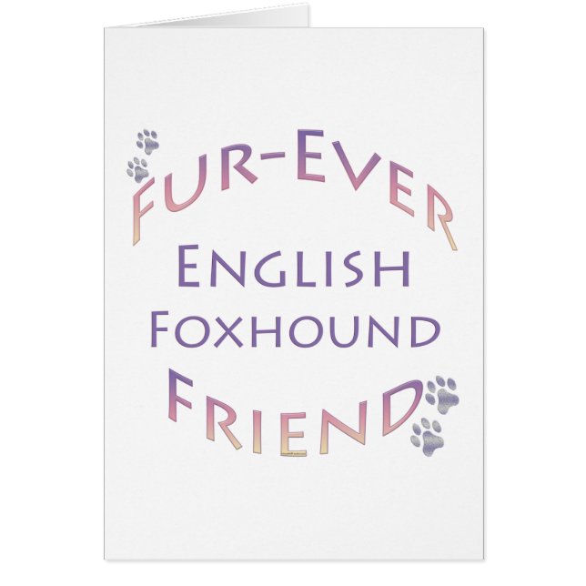 English Foxhound Furever (Vorne)