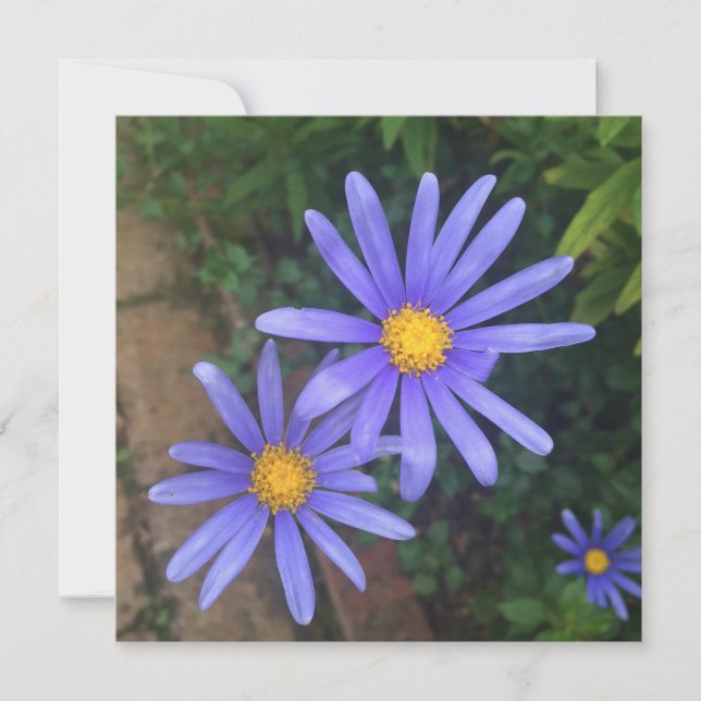 English Garden Note Card Feiertagskarte (Vorderseite)