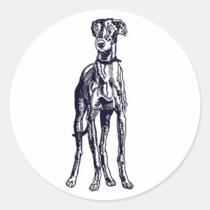 English Greyhound Breed Runder Aufkleber