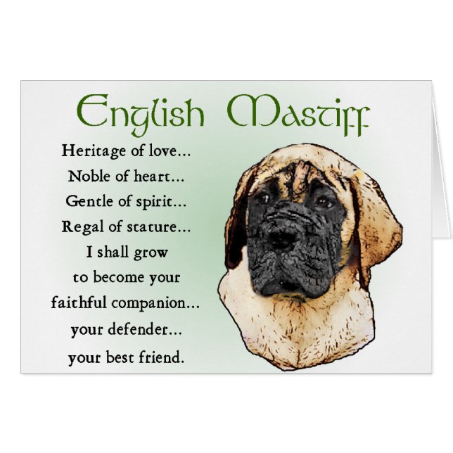 English Mastiff Art Geschenke (Vorderseite (Horizontal))