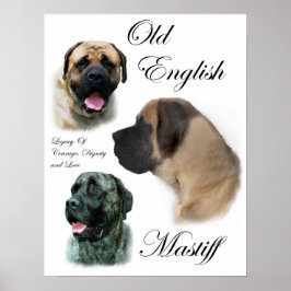 English Mastiff Art Prints Poster