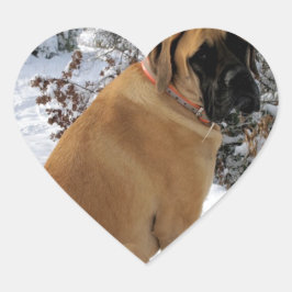 English Mastiff dog "Snow Pose" Foto Aufkleber