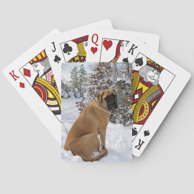 English Mastiff dog "Snow Pose" Foto Spielkarten (Rückseite)