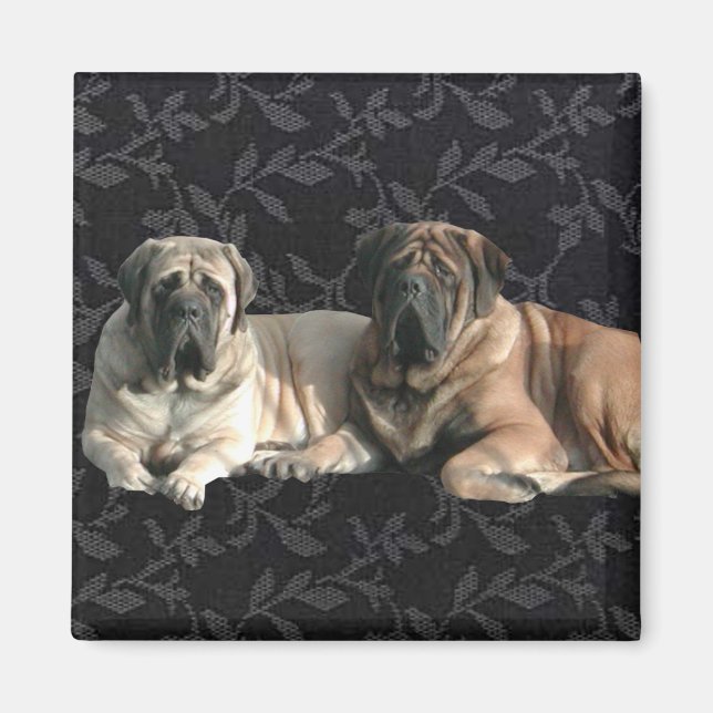 English Mastiff Freunde Magnet (Vorne)