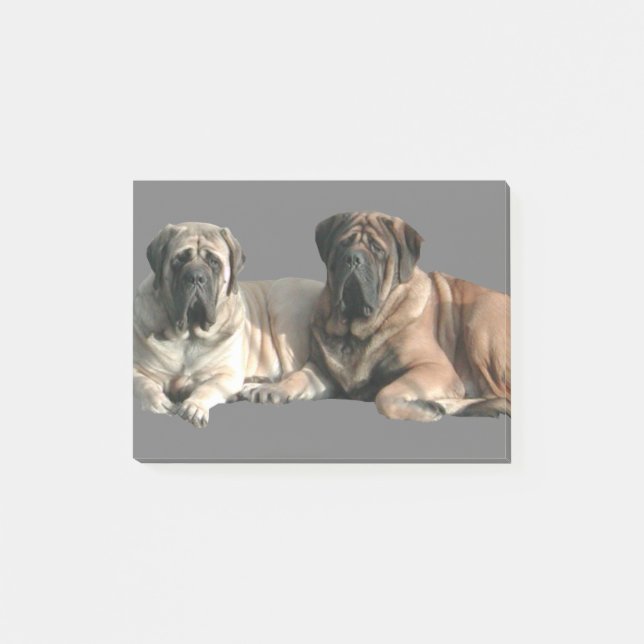 English Mastiff Freunde Post-it Klebezettel (Vorderseite)