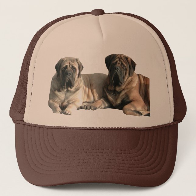 English Mastiff große Dogge  Truckerkappe (Vorderseite)