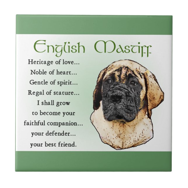 English Mastiff Heritage of Liebe Fliese (Vorderseite)