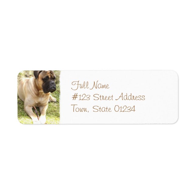 English Mastiff Return Address Label (Vorne)