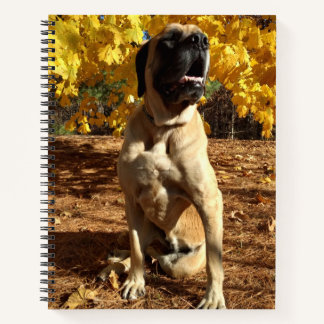 English Mastiff Spiralnotebook Notizbuch