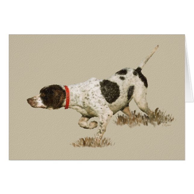 English Pointer (Vorderseite (Horizontal))