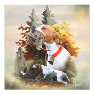 English Pointer Fotodruck