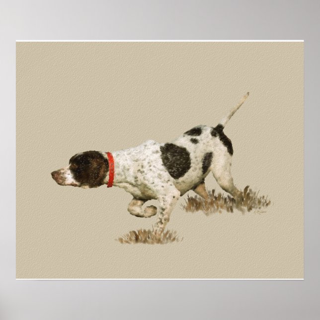 English Pointer Poster (Vorne)