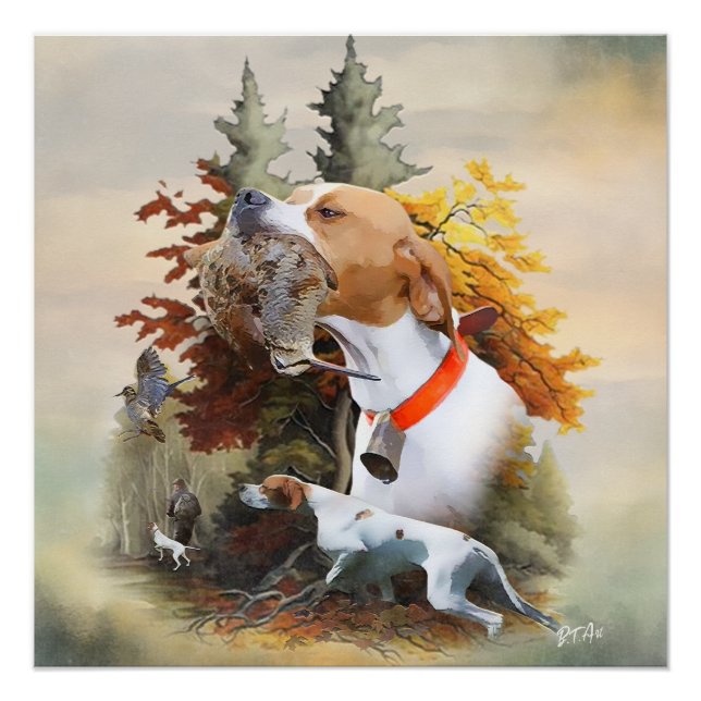 English Pointer Poster (Vorderseite)