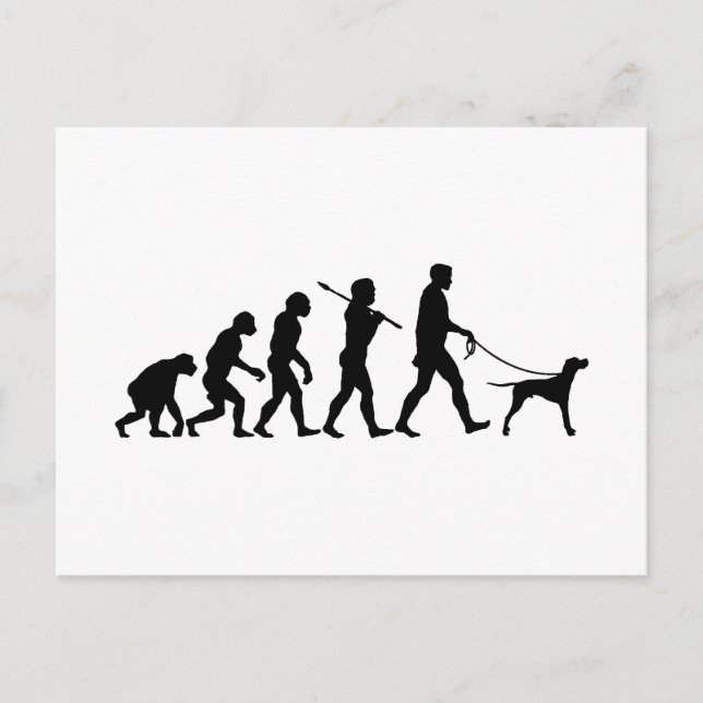 English Pointer Postkarte (Vorderseite)