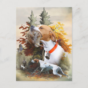 English Pointer Postkarte