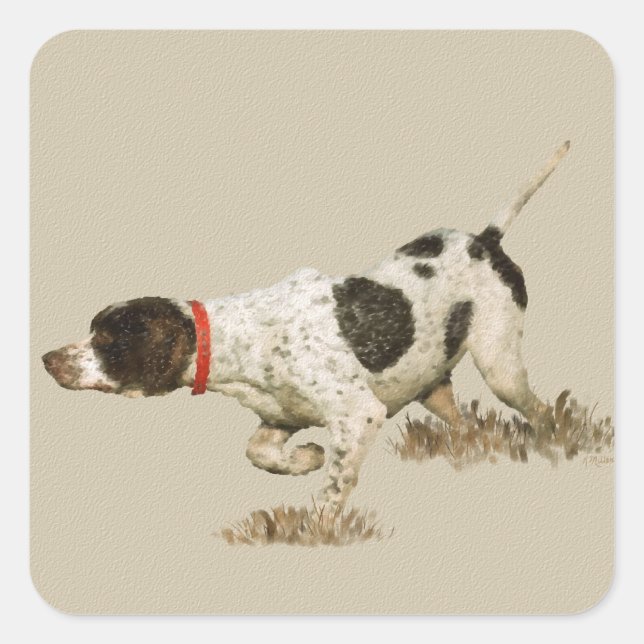English Pointer Quadratischer Aufkleber (Vorderseite)