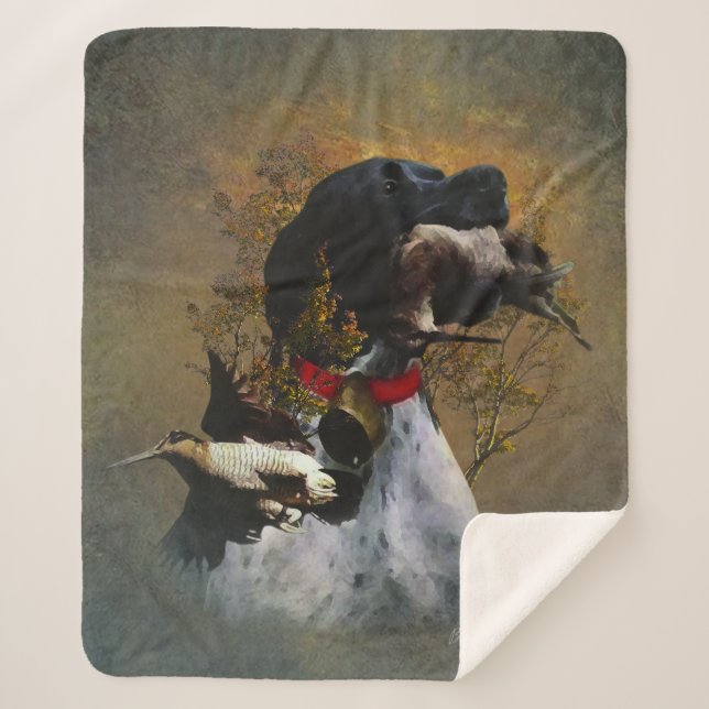 English Pointer Sherpadecke (Vorderseite)