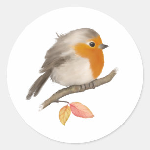 English Robin Bird Runder Aufkleber