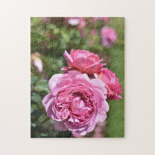 English Rose Garden Kew Gardens London UK Puzzle