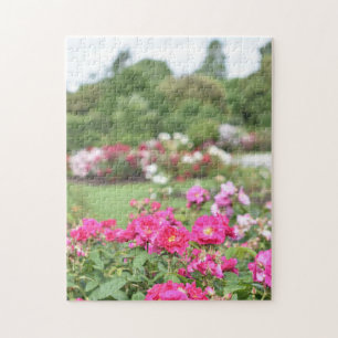 English Rose Garden Kew Gardens London UK Puzzle