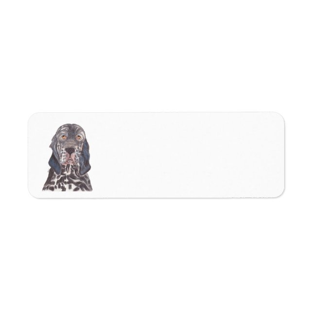 ENGLISH SETTER (Vorne)