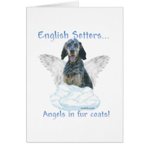 English Setter Angel