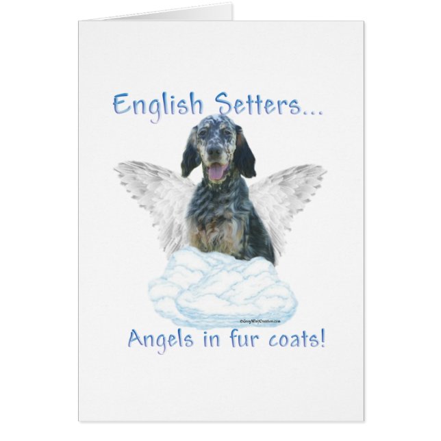English Setter Angel (Vorne)