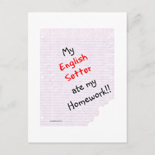 English Setter Ate My Hausaufgaben Postkarte