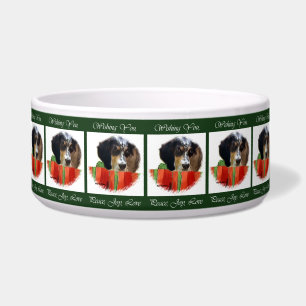 English Setter Christmas Napf